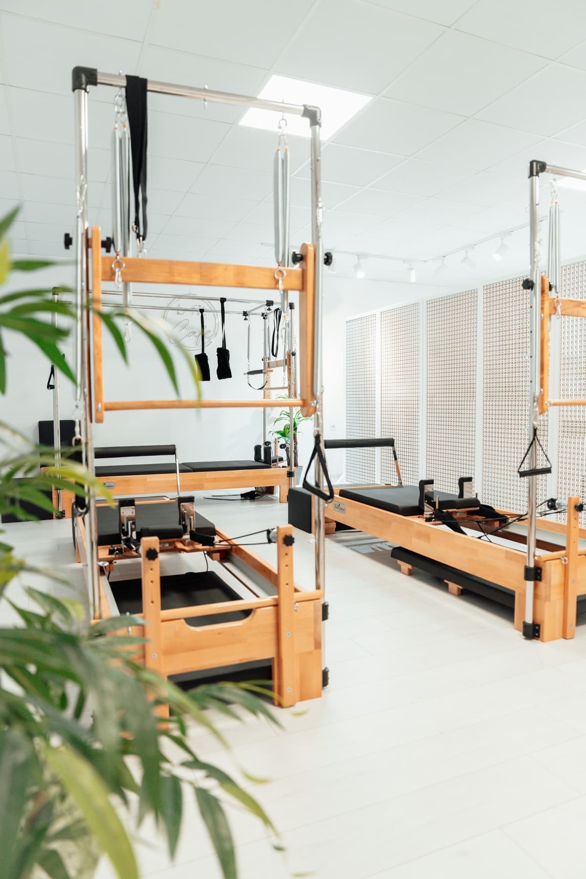 Wooden reformer machines in a bright white studio with a leafy plant